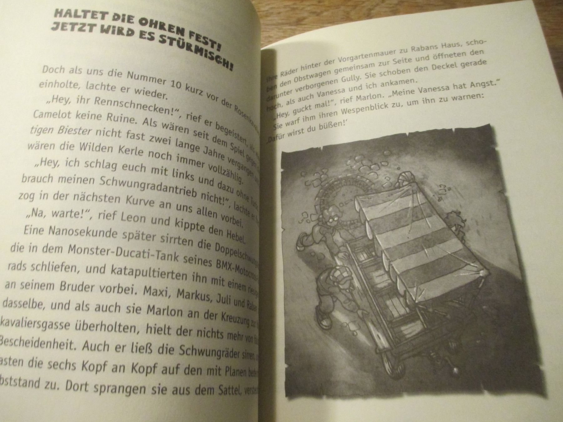 Libri: Die Wilden Kerle Buch 2.01 Donnerschlag – Usato da Hasle LU venduto da Flamme6 1