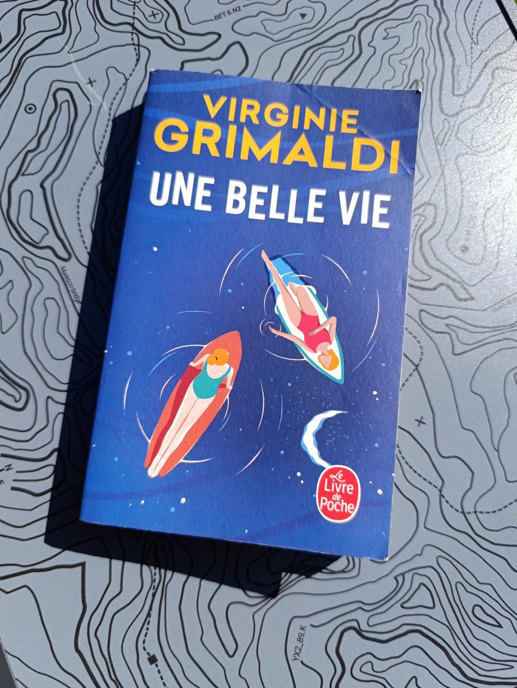 Libri: Une belle vie - Virginie Grimaldi – Usato da Prangins venduto da Timband