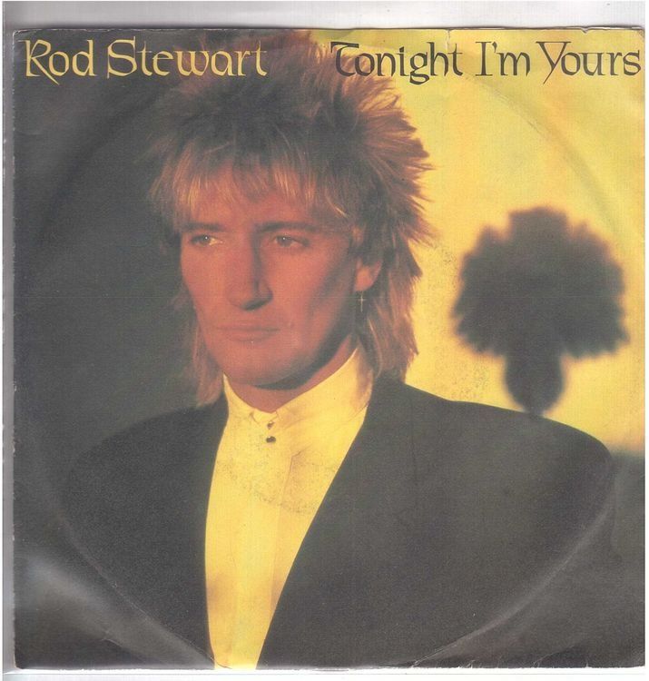 Dischi in vinile: Single7  Rod Stewart  --  Tonight i`m yours – Usato da Rheinau venduto da asteng