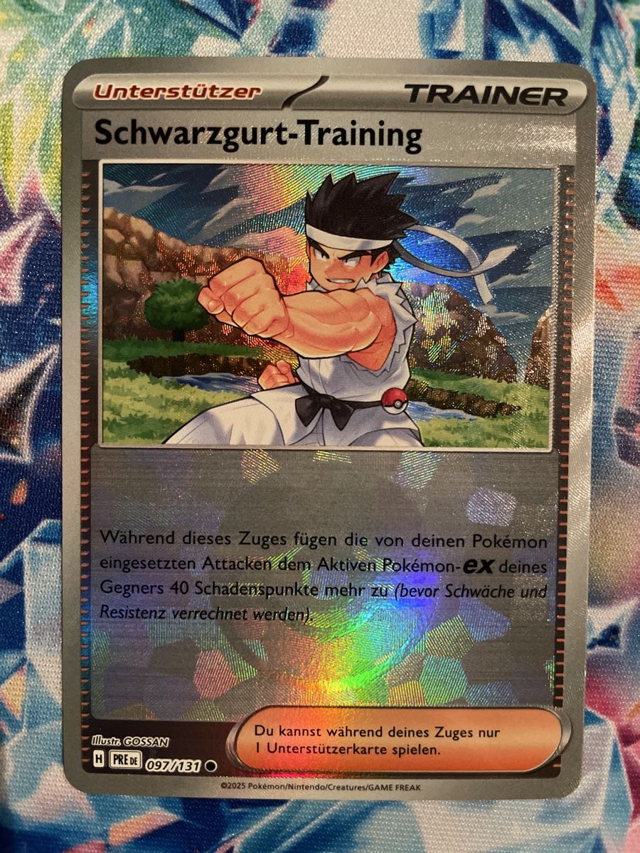 Pokémon Carte collezionabili: Schwarzgurt-Training Pokeball 097/131 - Prismatic Evolution – Nuovo (secondo la descrizione) da Kreuzlingen venduto da SwissCollectorChris