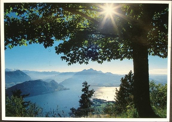 Cartoline postali: RIGI Aussicht vom Känzeliweg – Usato da Jona venduto da philajona