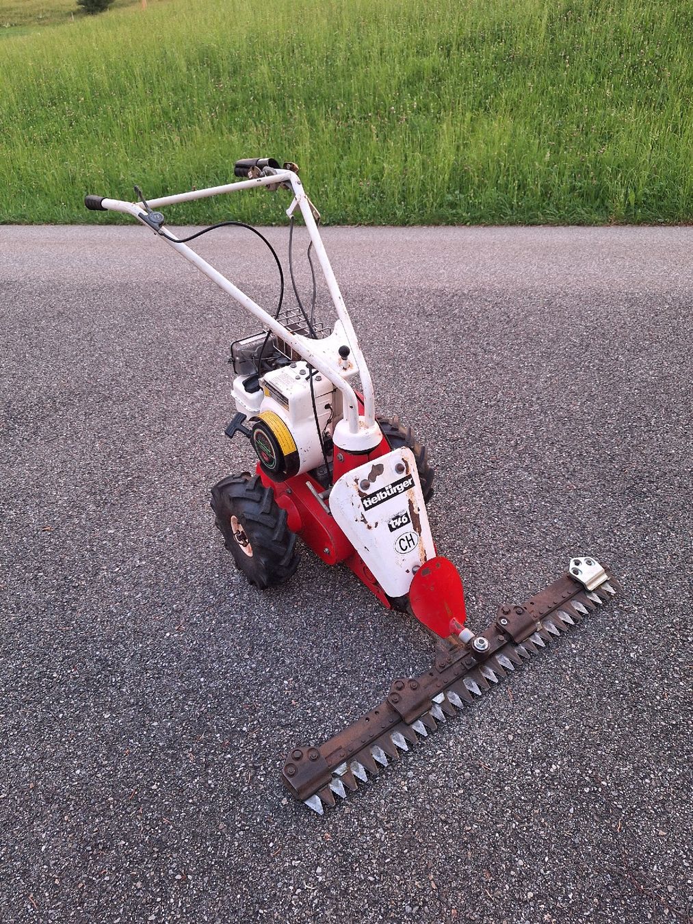Tutte le macchine: Tielbürger t46 Motormäher – Usato da Schüpbach venduto da Tom.Beer