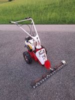 Tielbürger t46 Motormäher