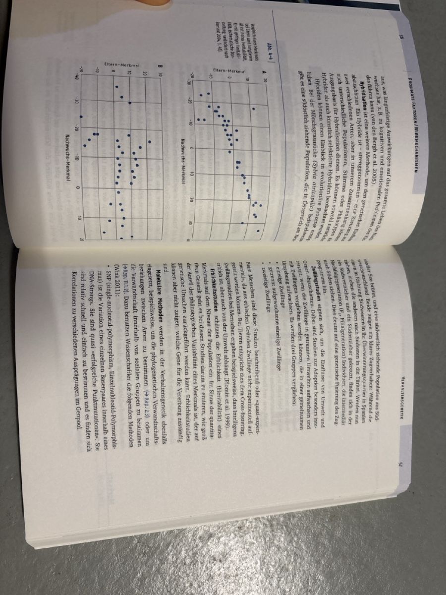 Libri: Verhaltensbiologie – Nuovo (secondo la descrizione) da Grüt (Gossau ZH) venduto da Fa61 1
