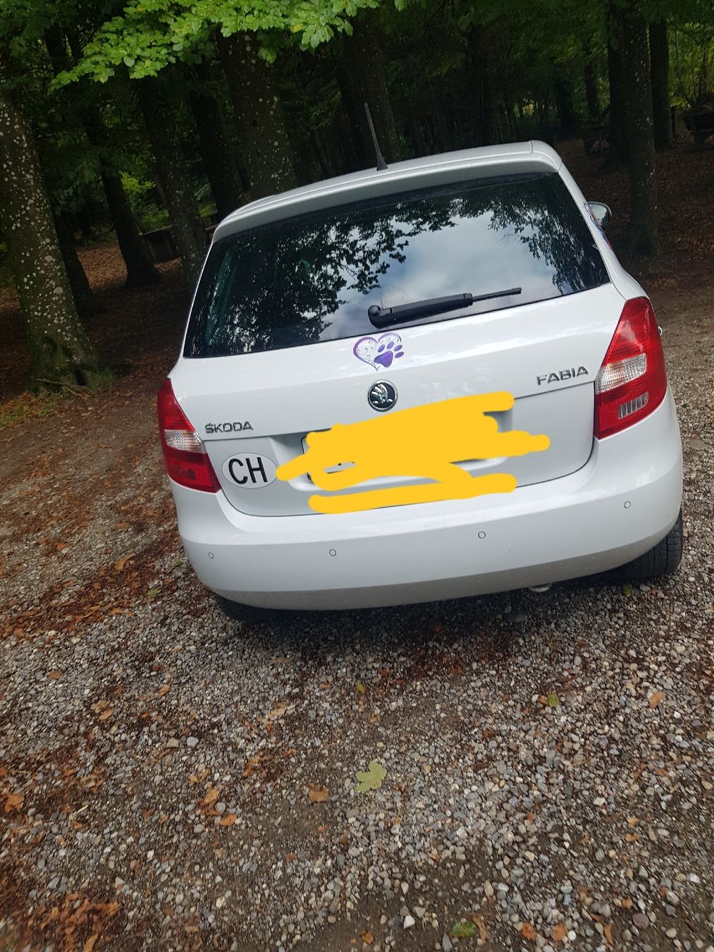 Skoda Automobili: Fabia Skoda Auto – Usato da Zihlschlacht venduto da Sun25 2