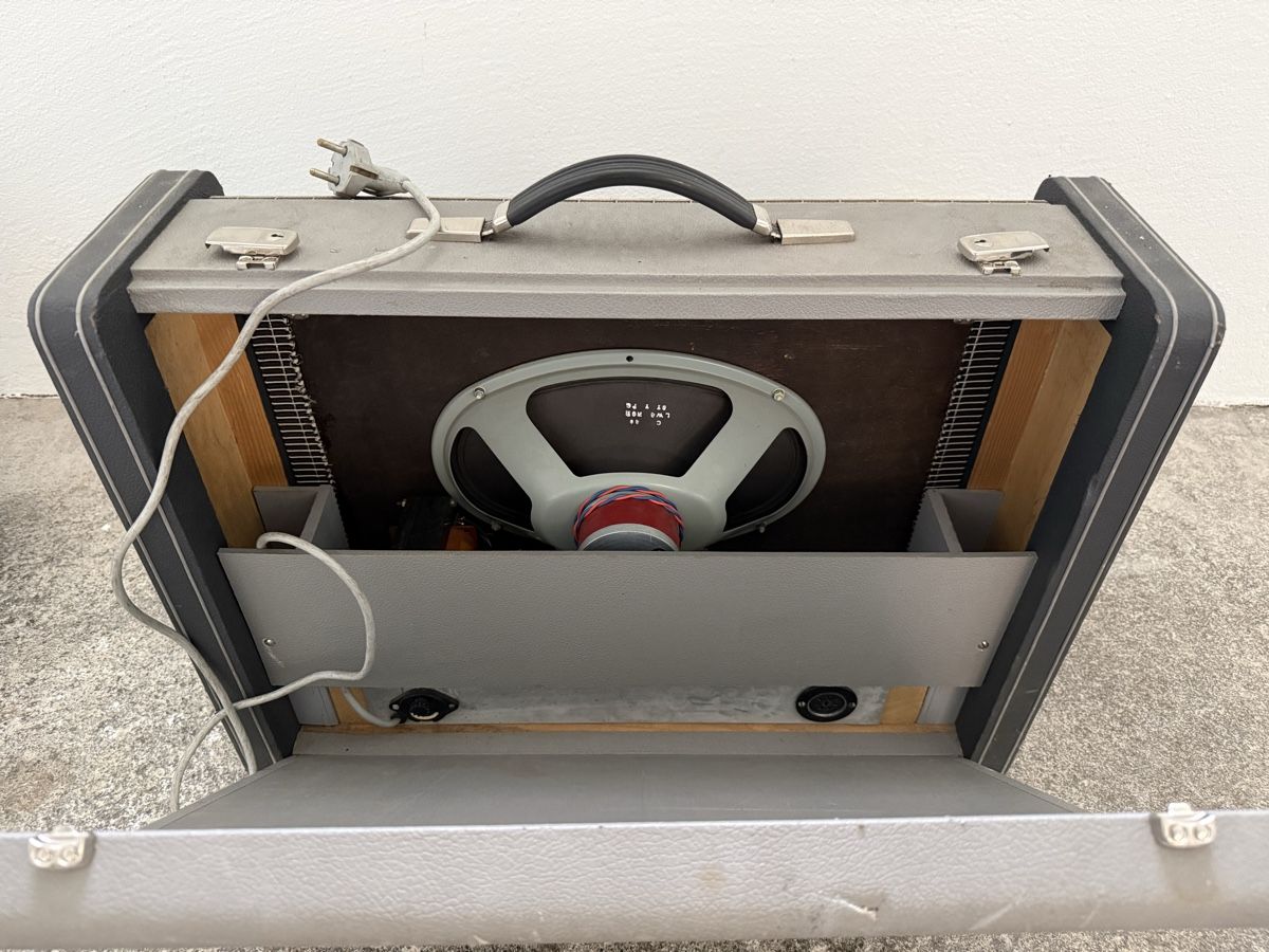 Strumenti musicali: Elektronium mit Röhrenverstärker – Difettoso da Herrliberg venduto da Bio3 2