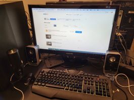 Top Samsung PC Monitor SyncMaster P2450 24 Gaming Streaming