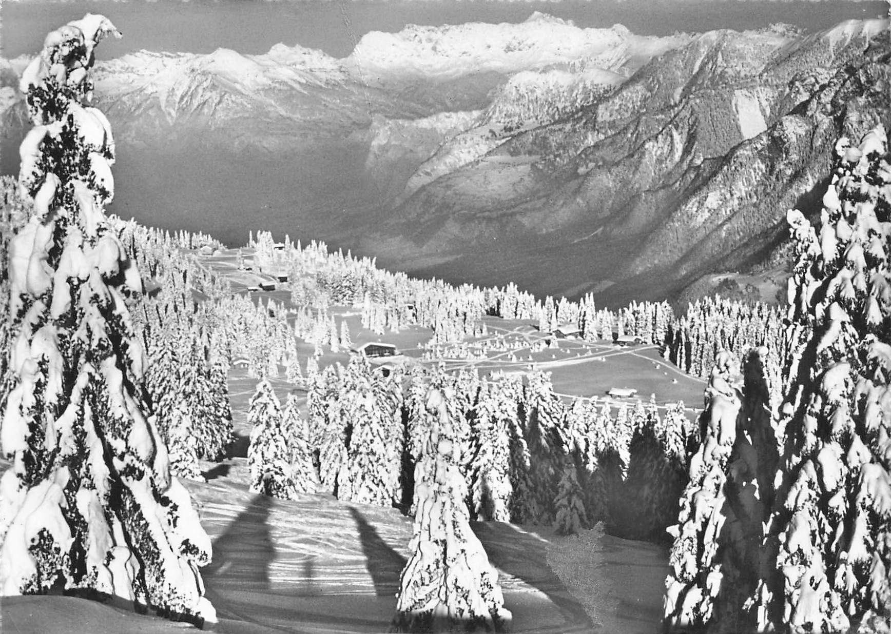 Cartoline postali: Winter Brambrüesch – Usato da Biasca venduto da Blenio71