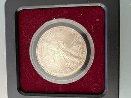 Silber Dollar Münze 1996 mit Kapsel mit Patina
