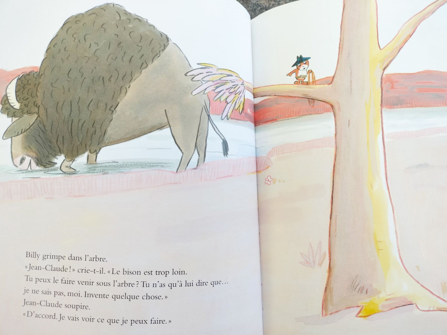 Libri: Le bison Catharina Valckx – Usato da Cortaillod venduto da rozinna 6