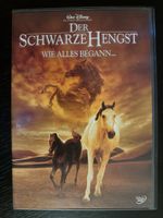 Der Schwarze Hengst Wie Alles Begann Walt Disney guter Z