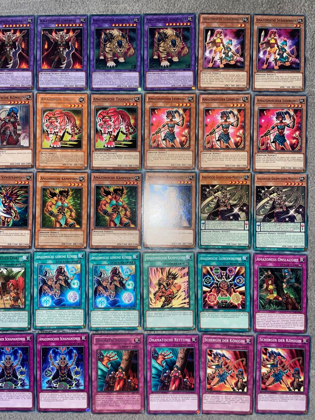 Yugioh Carte collezionabili: YuGiOh Amazonisch Deck – Nuovo (secondo la descrizione) da Altstätten SG venduto da ChangeMaker 2