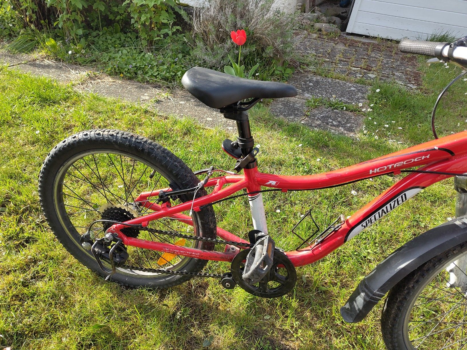 Specialized Biciclette: Kindervelo Specialized Hotrock 20" – Difettoso da Embrach venduto da JenDeca 1