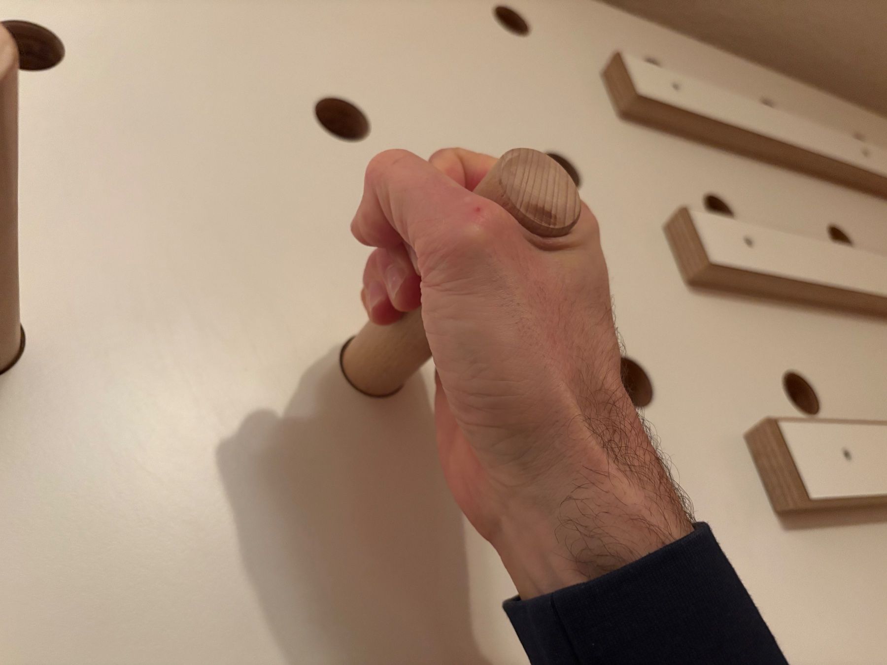 Pareti & prese d'arrampicata: Trainingsboard, Hangboard, Pegboard, Campusboard – Nuovo (secondo la descrizione) da Estavayer-le-lac venduto da cellolino 2