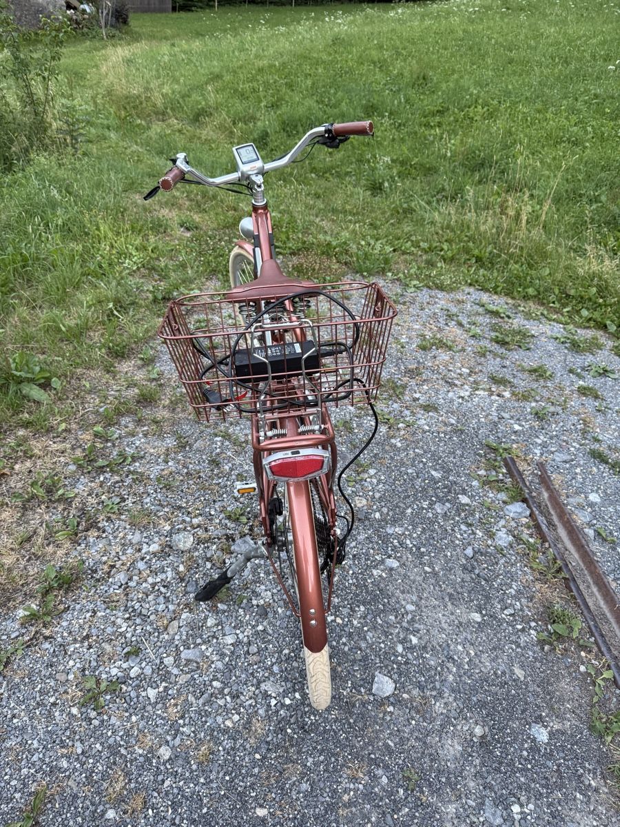 Velos: E-velo mit bafang motor – Defekt aus Schwändi GL von Naldoven 5