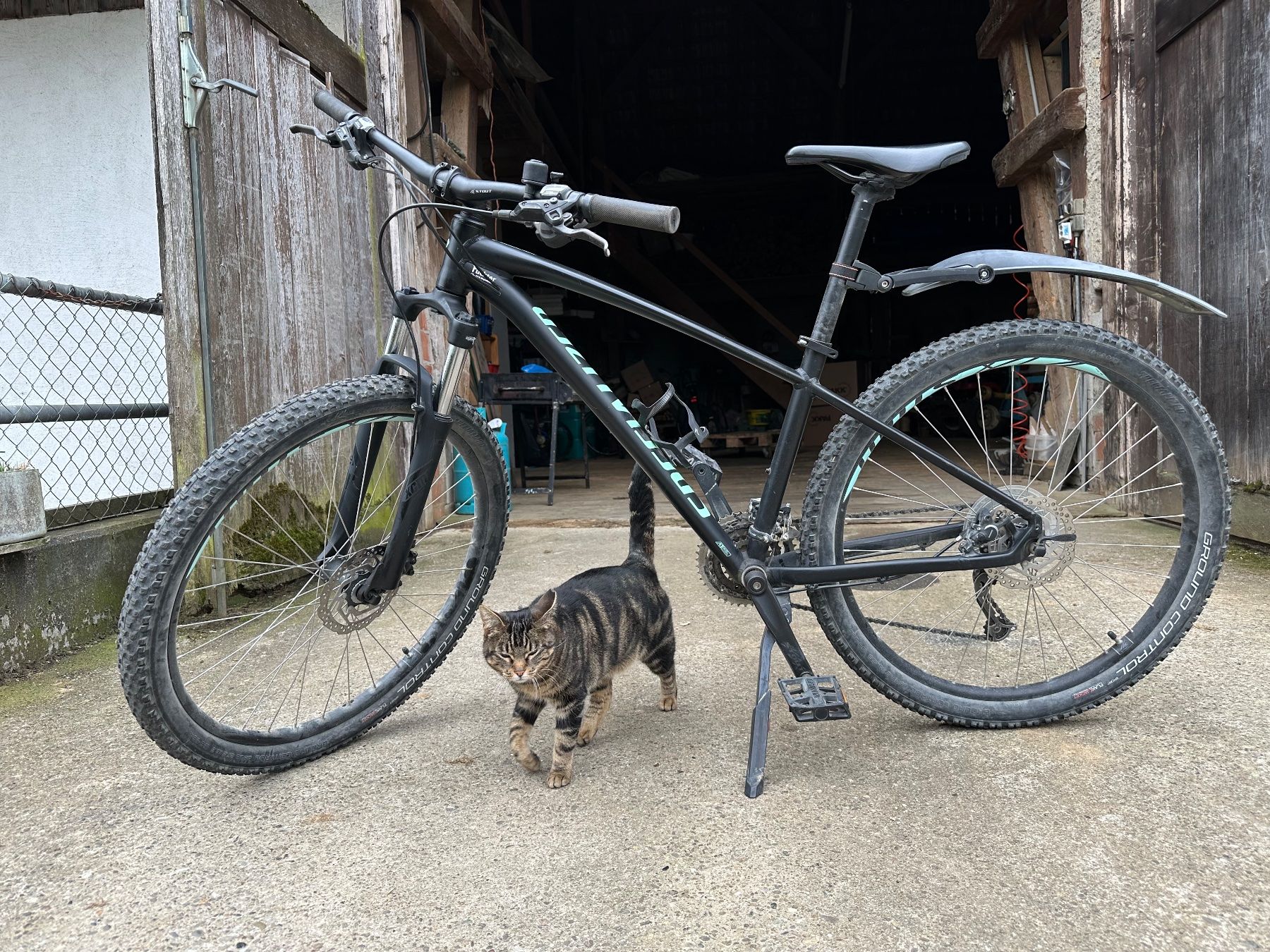 Specialized Biciclette: Specialized Pitch Comp – Usato da Liestal venduto da Cliestal