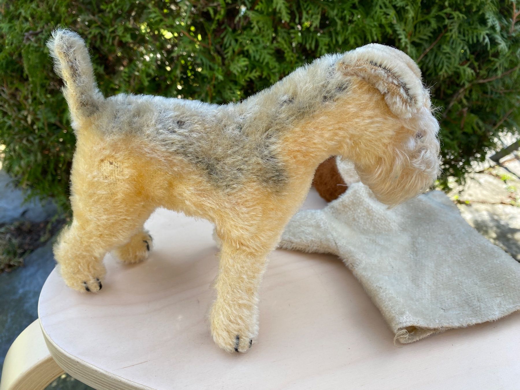 Giocattoli: antiker Terrier und Handpuppen-Hund – Usato da Feldbach venduto da Olive1 7