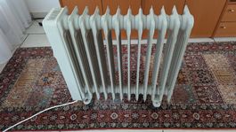 elektrischer Ofen Marke Rotel 
