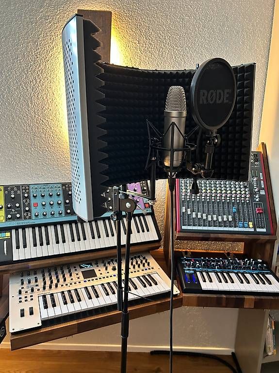 Microfoni: RØDE NT1-A inkl. Reflexionsfilter, Spinne & Popschutz – Usato da Seewen Sz venduto da car_95zr 4