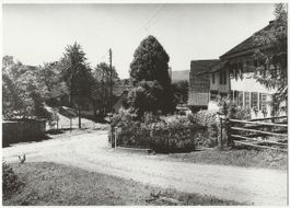 Forchstrasse eingangs Wetzwil