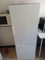 Kühlschrank electrolux und Tiefkühltruhe  mit 3 schubladen