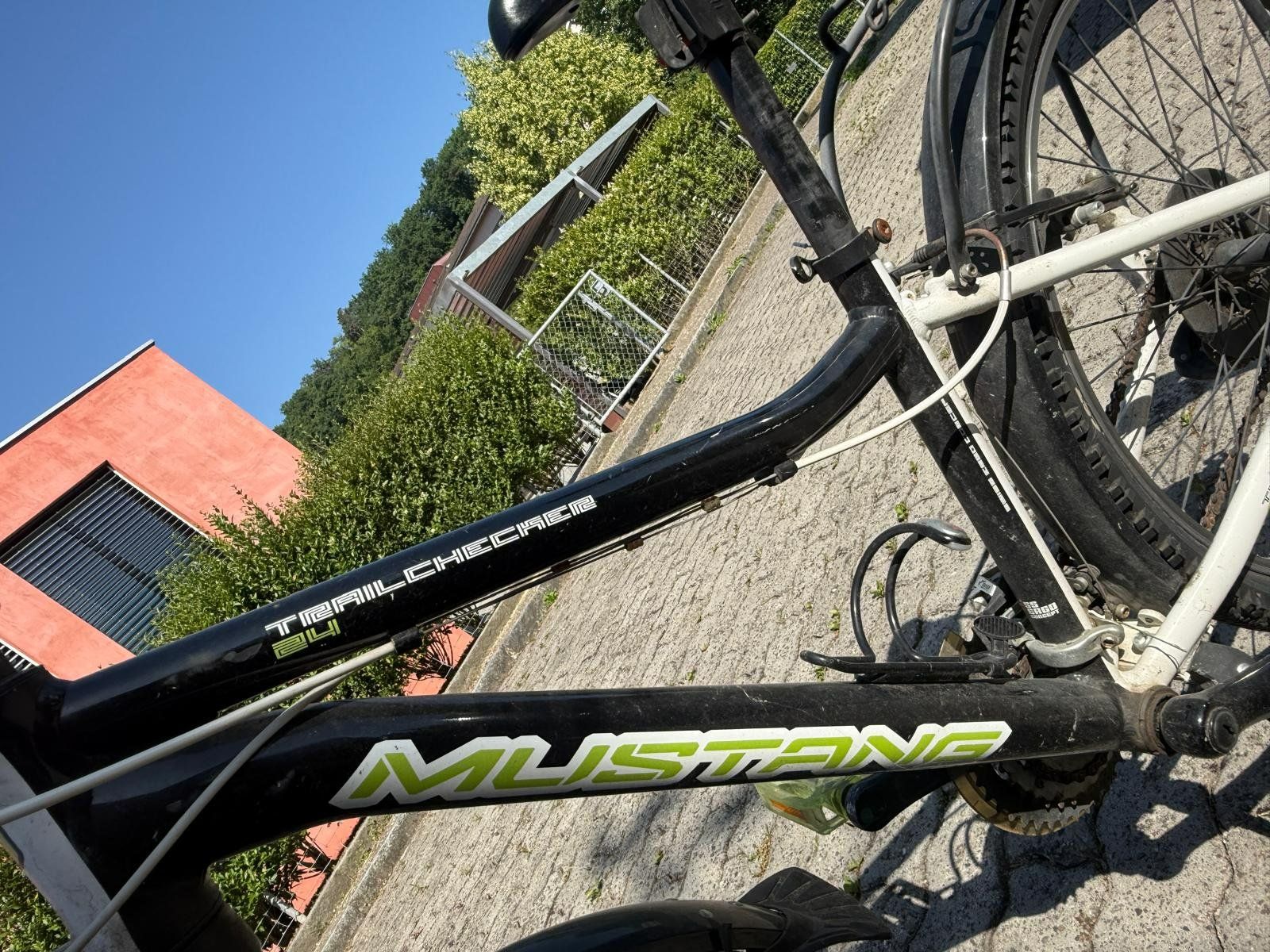 Biciclette: Velo Mustang Trail Checker 24Zoll – Usato da Laufen venduto da Schbe 2
