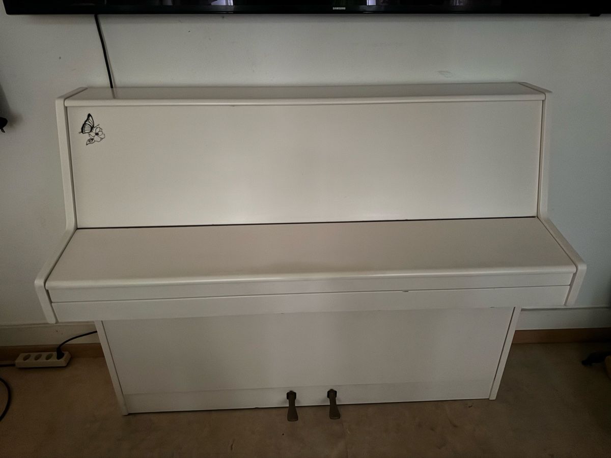 Mooer Instruments de musique: Klavier Moore&Moore – D'occasion à Zürich par cch_r6xd 1
