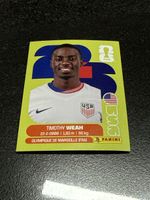 Panini FIFA USA 12