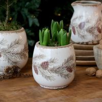 Chic Antique Übertopf mit Tannenmotiv, Höhe 14,5 cm