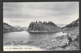 Château-d'Oex Lac Lioson