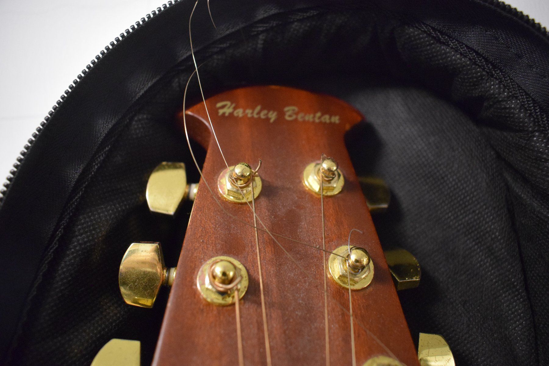 Strumenti musicali: Harley Benton elektronische Gitarre – Usato da Zürich venduto da Brockito 2