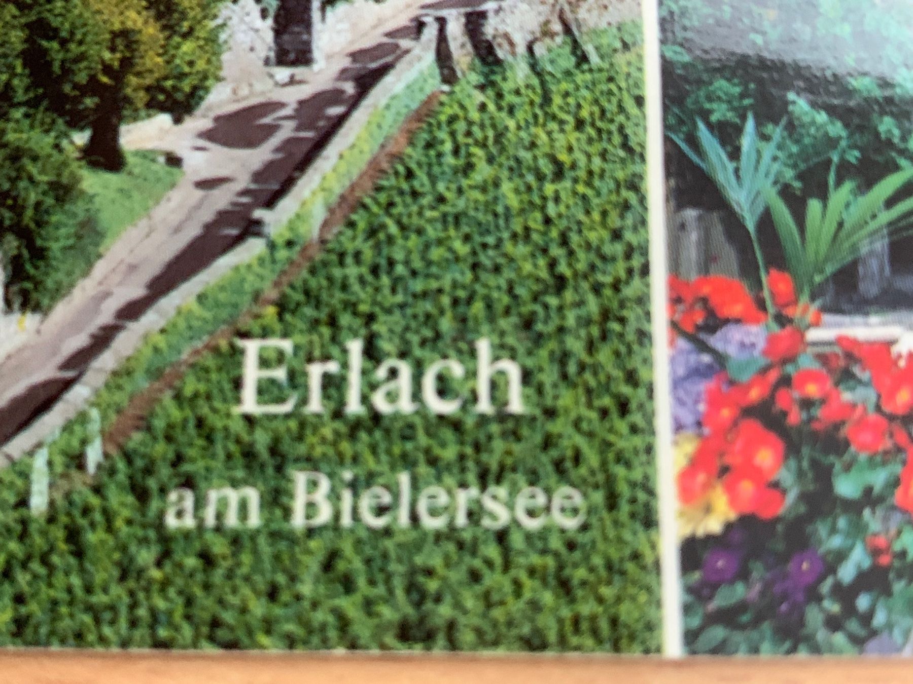 Cartoline postali: ANTIKE ANSICHTSKARTE ERLACH AM BIELERSEE********** – Usato da Ibach venduto da lisch3 1