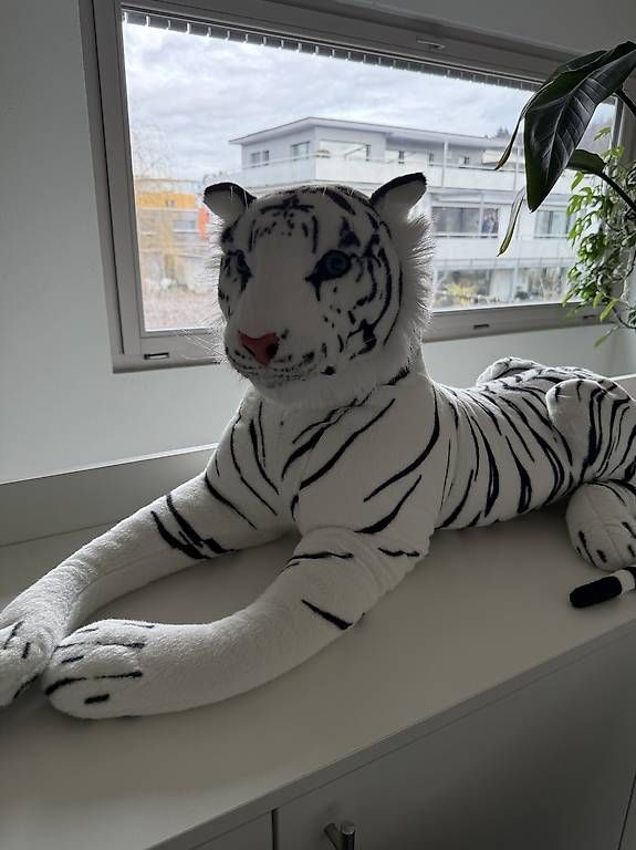 Giocattoli: XXL Tiger  – Usato da Wangen an der Aare venduto da mic_6gdj