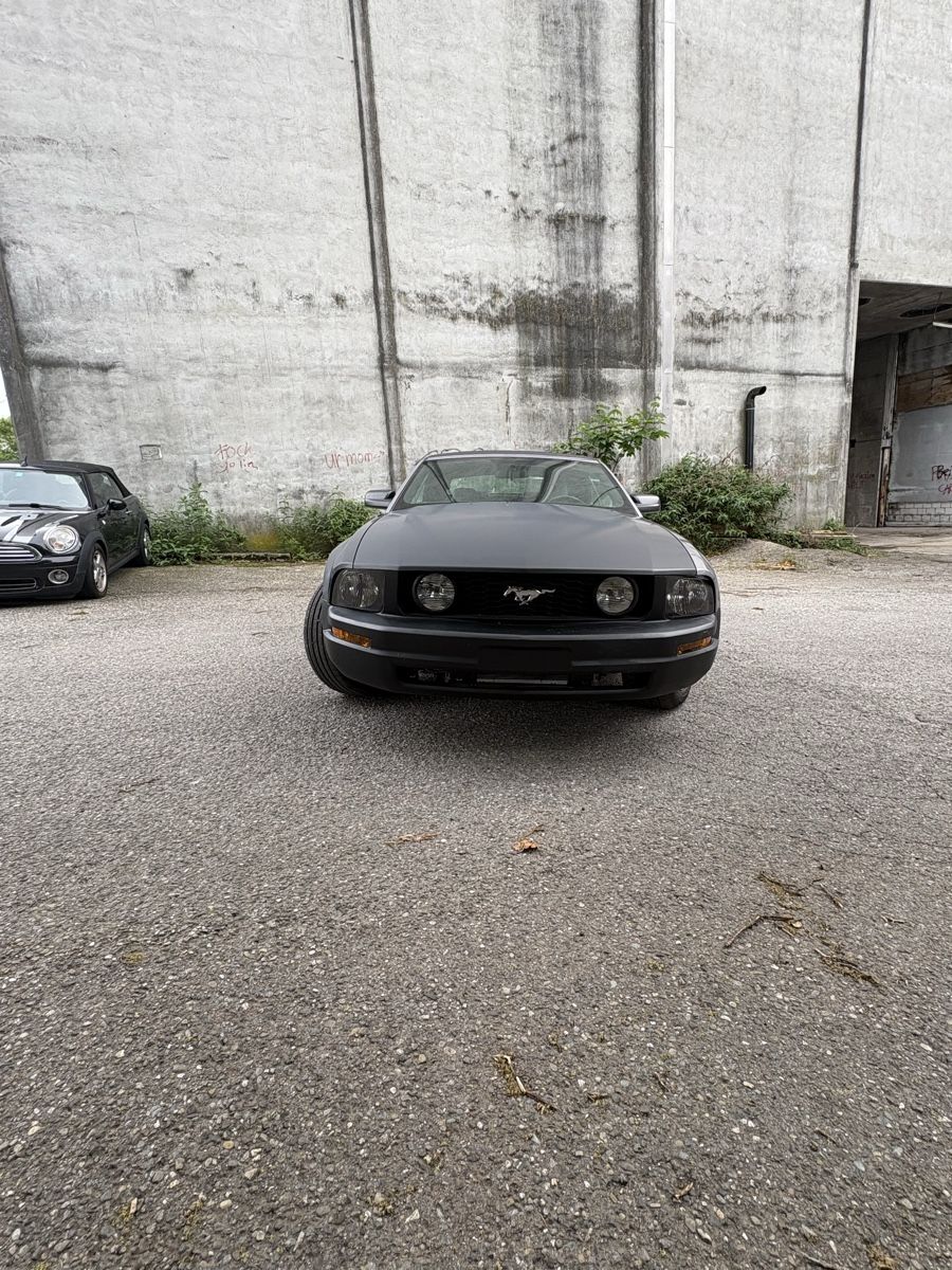 Ford (Usa) Automobili: Ford Mustang GT – Usato da Bad Zurzach venduto da mih_2qzx 5