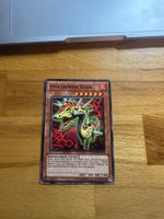 Evolvaurier Elias Yu-Gi-Oh Karte guter Zustand