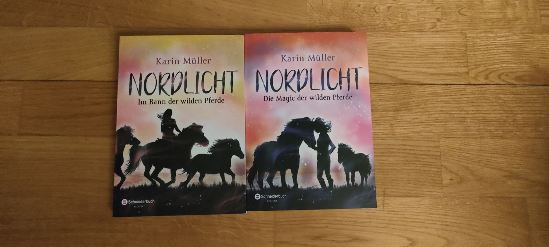 Libri: Nordlicht – Usato da Mönchaltorf venduto da Icelandichorse