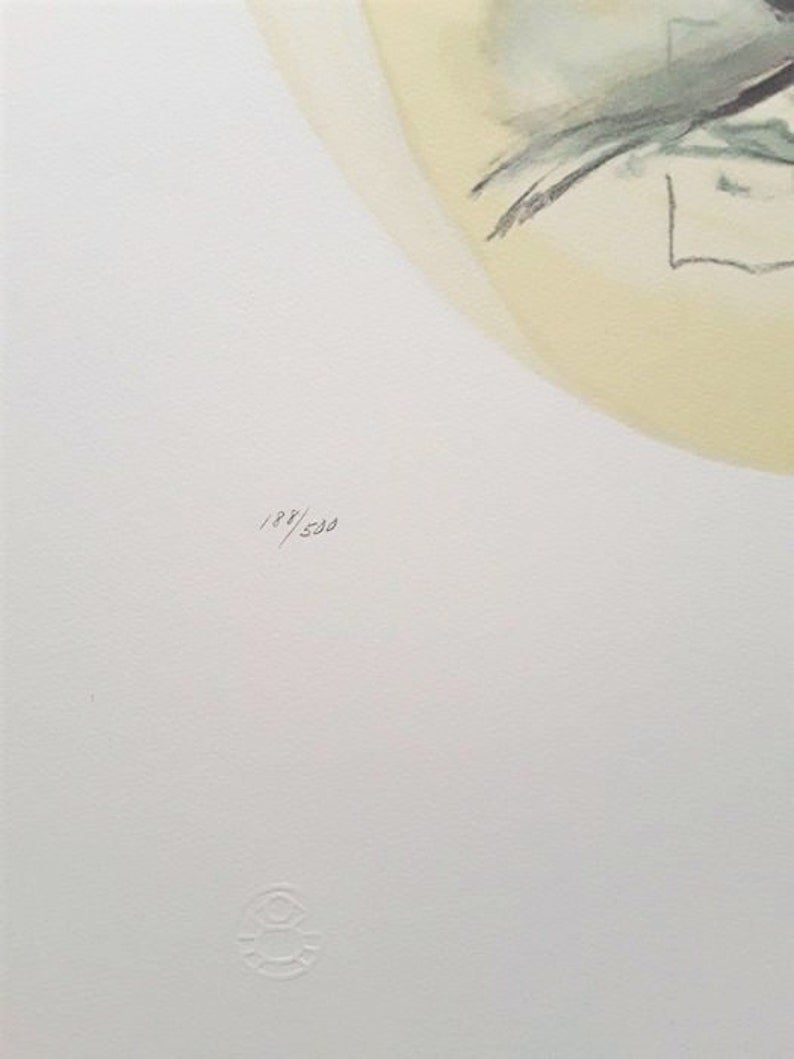 Grafica & Litografie: Pablo Picasso - Original-Lithographie. – Usato da Ponte Tresa venduto da 11GalleriaAlterEgo11 7