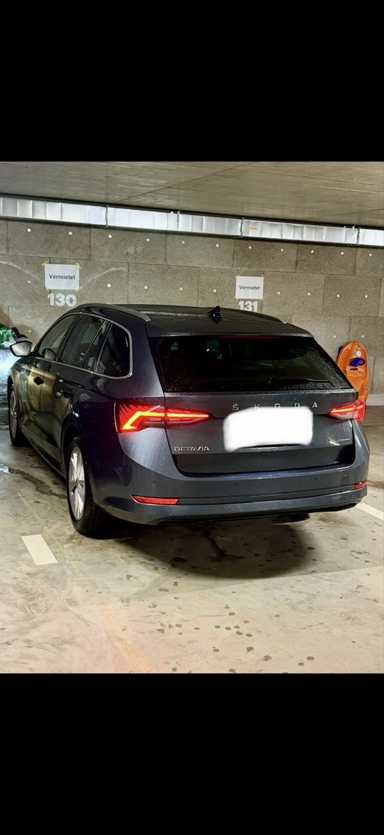 Skoda Autos: Skoda Octavia – D'occasion à Niederwangen BE par RealAlpina 9