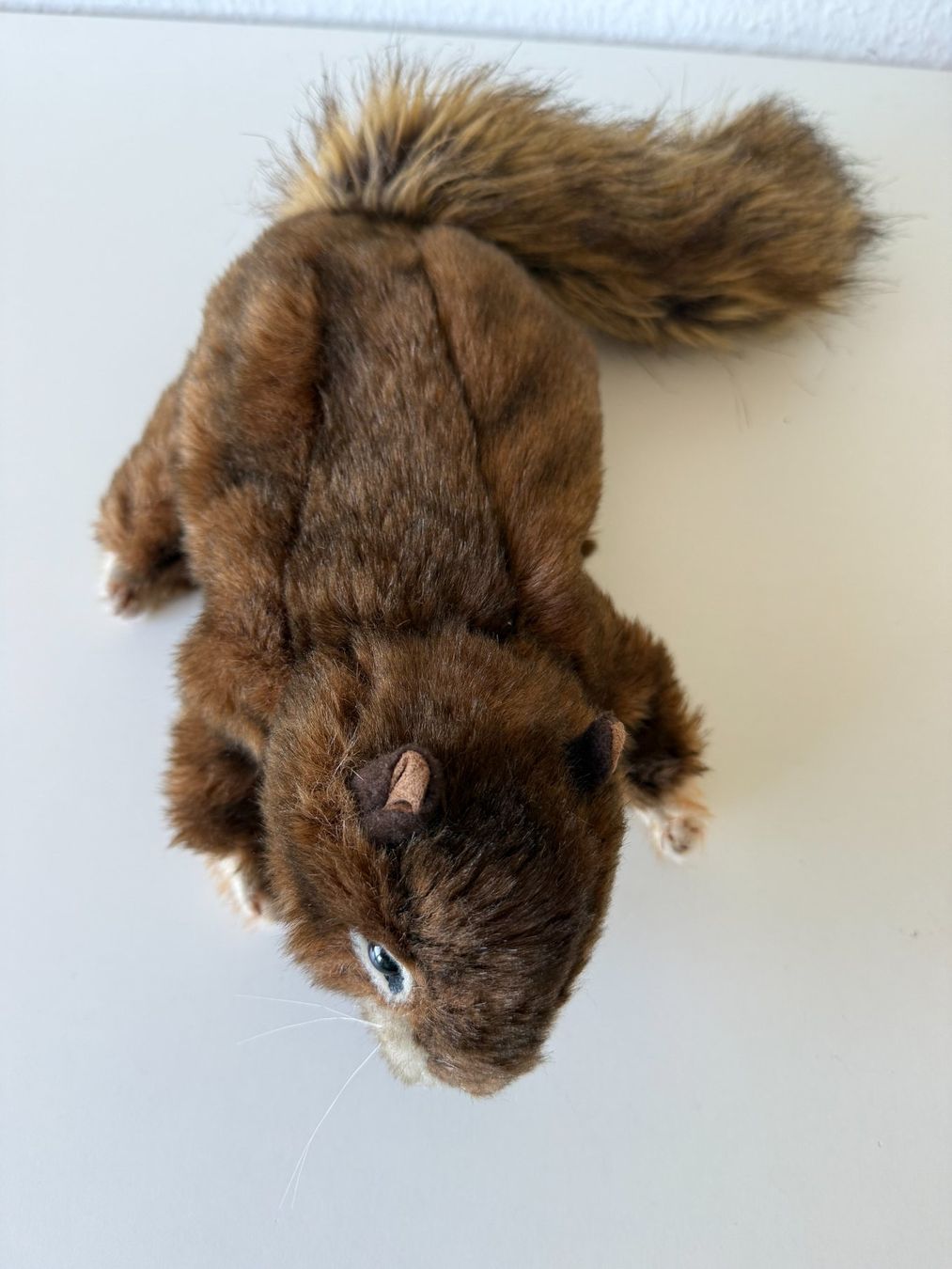 Giocattoli: Folkmanis Handpuppe rotbraunes Eichhörnchen – Usato da Winterthur venduto da brittalili 8