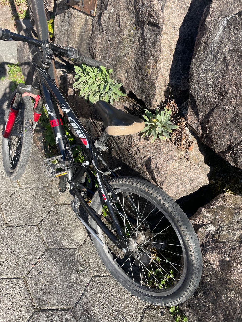 Stöckli Biciclette: Stöckli Kinderfahrrad – Usato da Kleinwangen venduto da cwy_2l5p 3