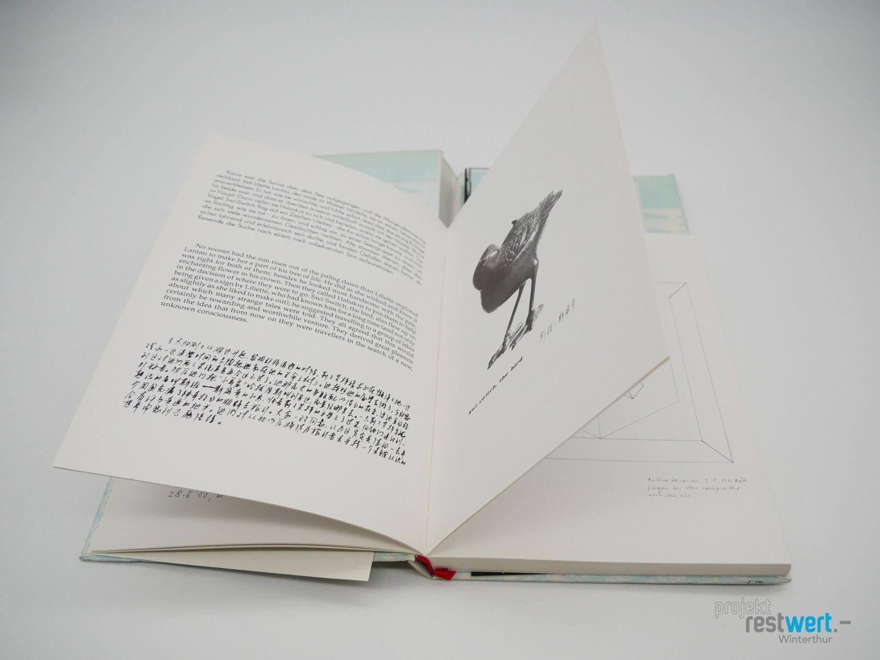 Libri: EDITION RIANONN - Die Reise zu den Seen – Usato da Winterthur venduto da Restwert_Winterthur 2