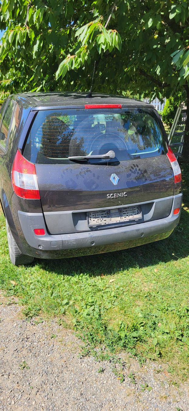 Renault Autos: Renault Megane Scenic 2 – Gebraucht aus Seftigen von Daniel-Neuhaus 2