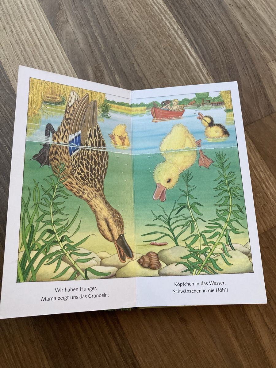 Bücher: Buch- Die kleine Ente – Gebraucht aus Luzern von Aldabema 3