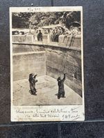Ansichtskarte Bären, Bern Postkarte antik Sammlerstück 5 10 