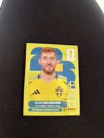 Panini SWE 17