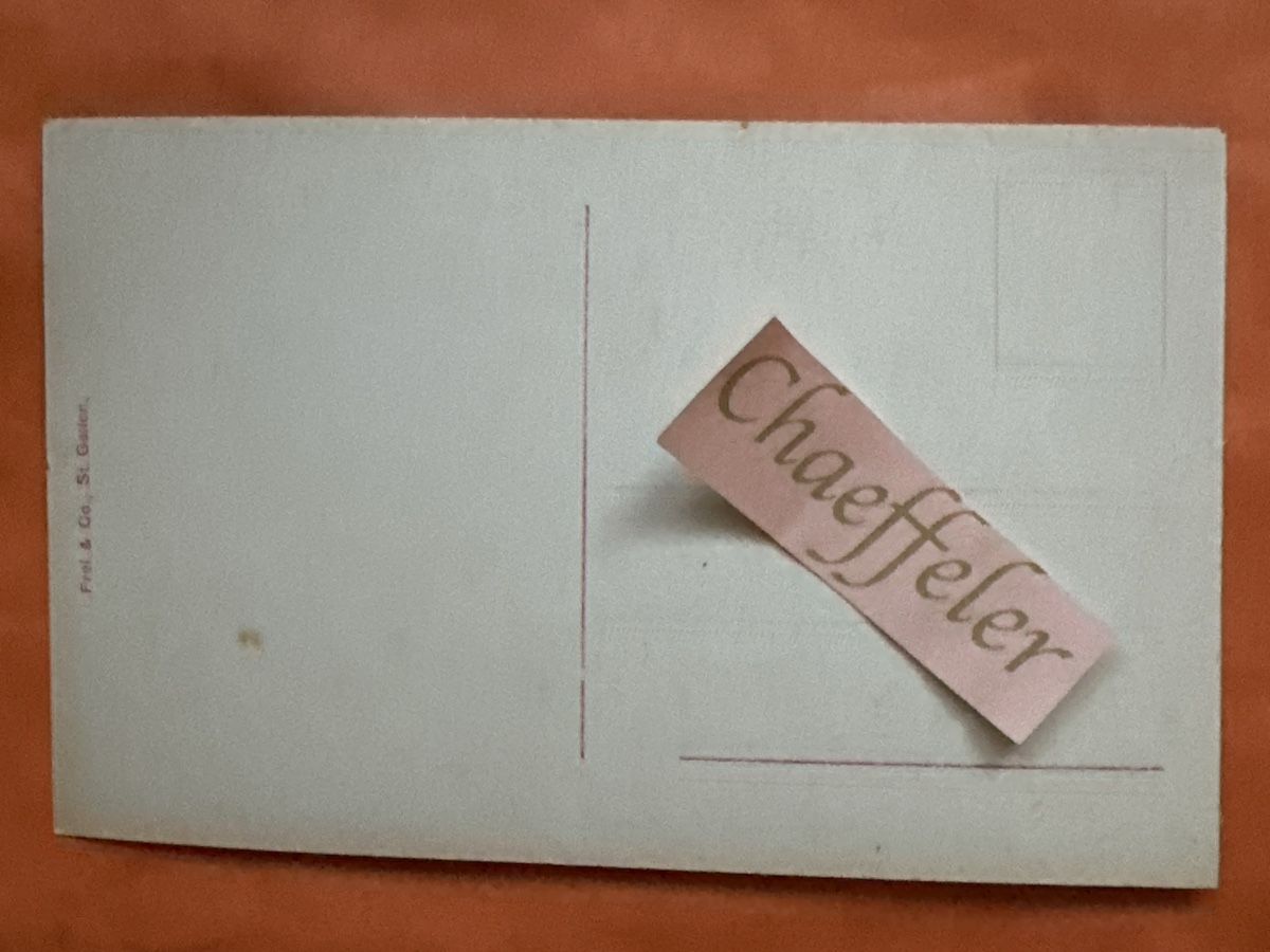 Cartoline postali: H.V. 936. Veneliisgärtli  – Usato da Zürich venduto da Chaeffeler 1