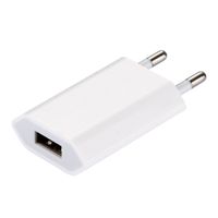 Chargeur USB 1A