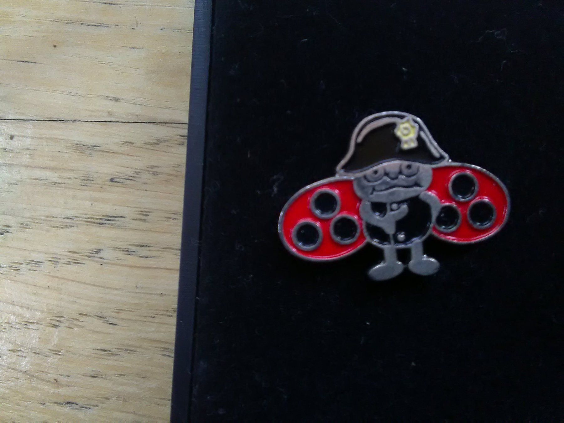 Plaketten & Abzeichen: 6er Set (Glückskäferli's) Pins im Case – Gebraucht aus St.Galllen von elkaphone 8