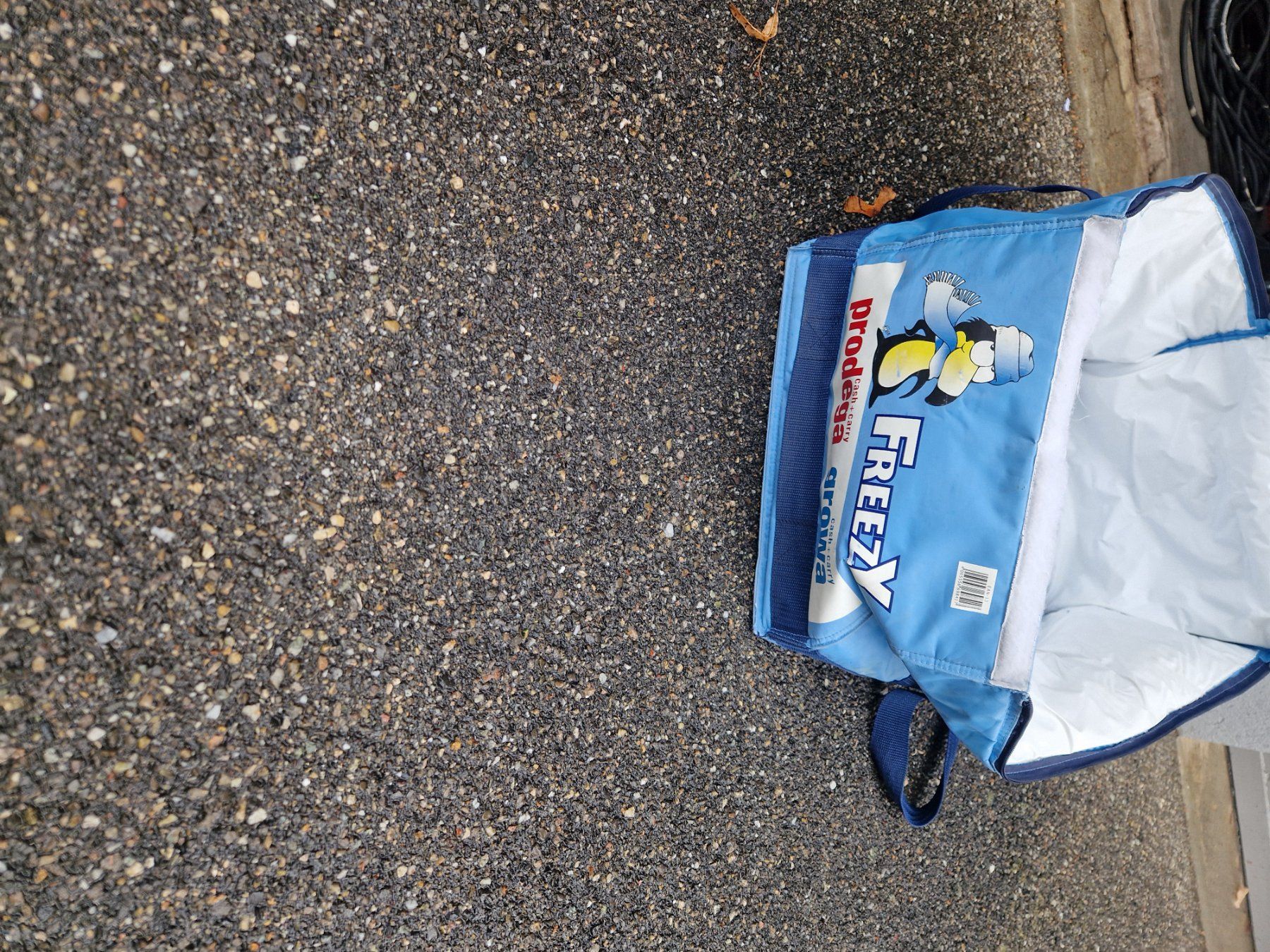 Sacs: Kuehltasche – D'occasion à Oberbipp par dicker01 1