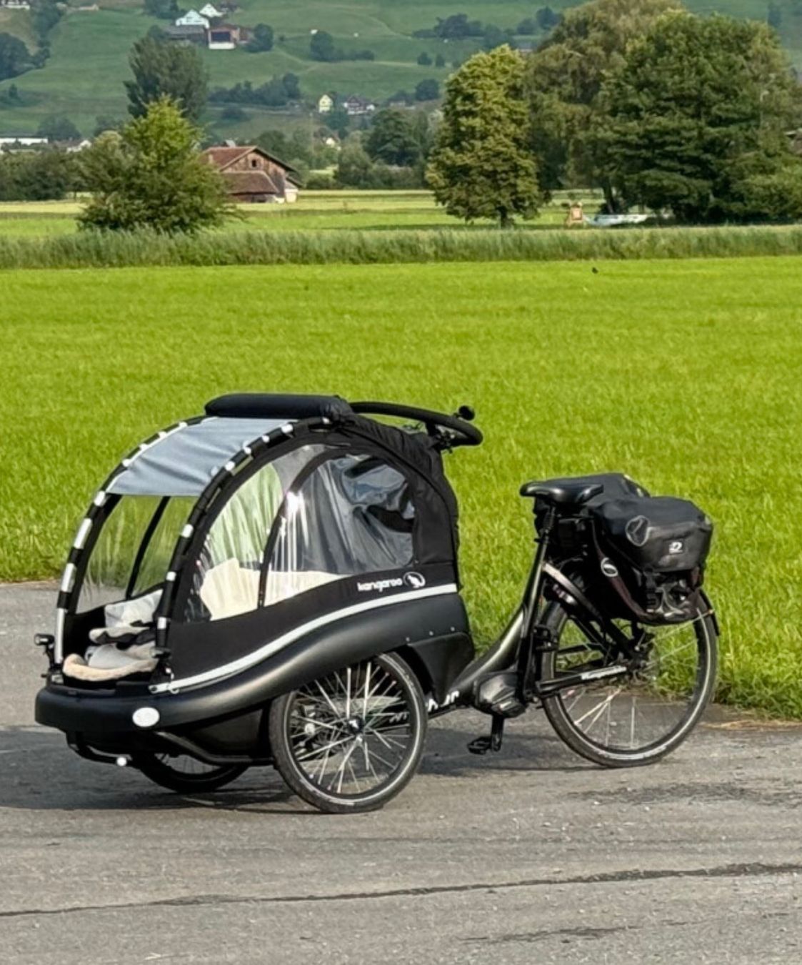 Winther Biciclette: Cargobike Winther Kangaroo Luxe Ultimate Edition – Usato da Gams venduto da BlueLuna36
